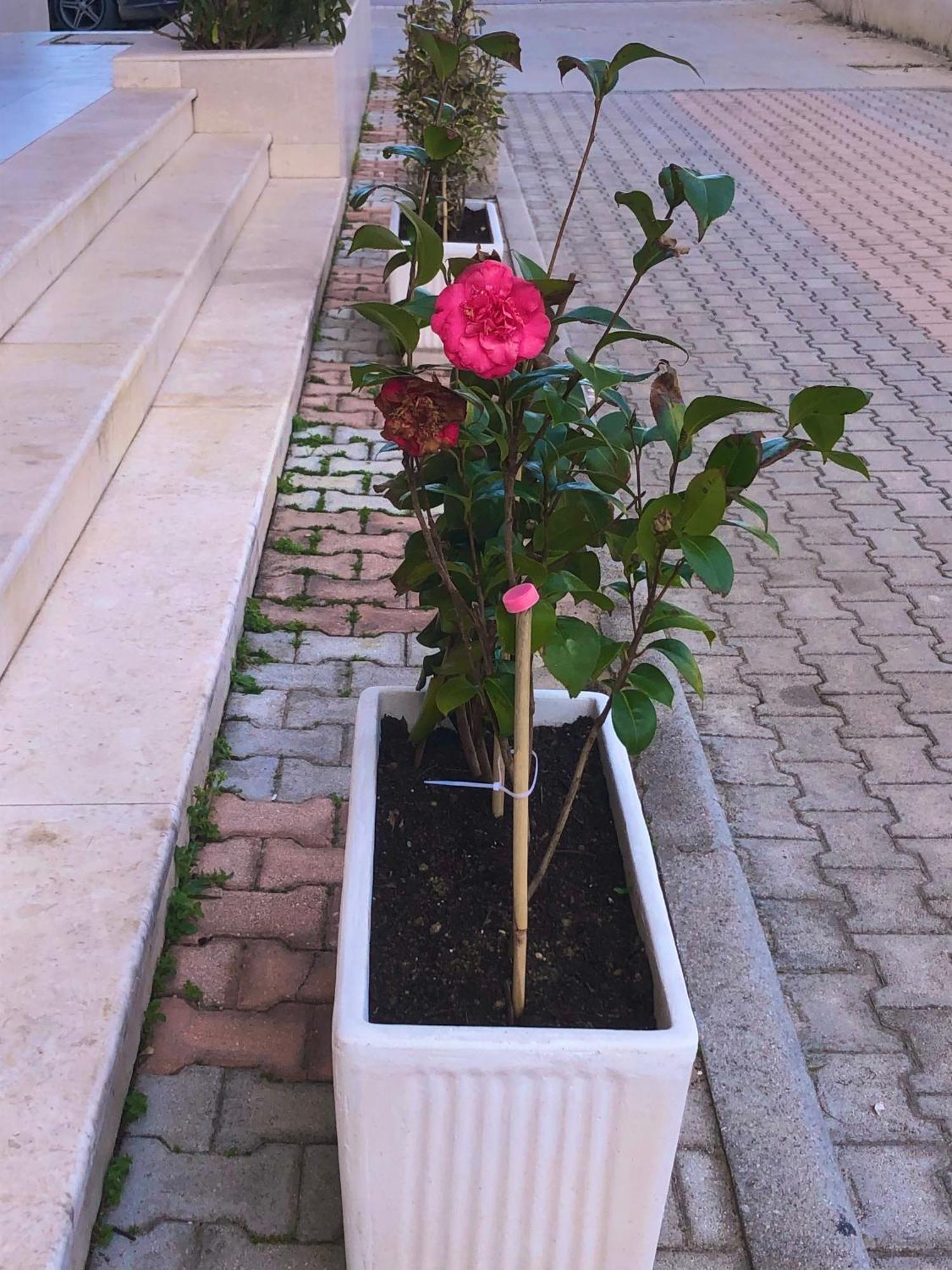 Vlore Apartment 外观 照片